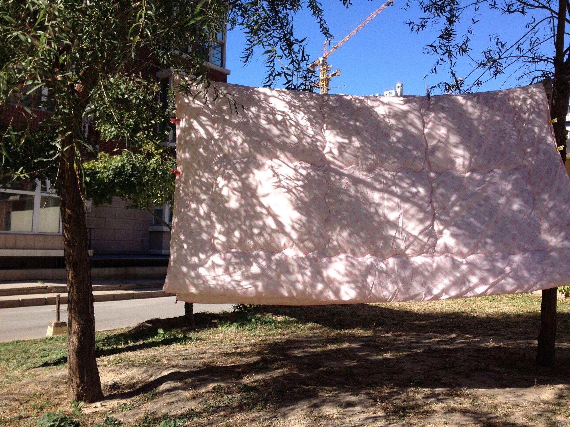 阳光真好,晒被子