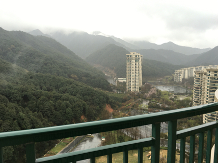 杭州富阳野生动物园附近绝佳山景房三室一厅